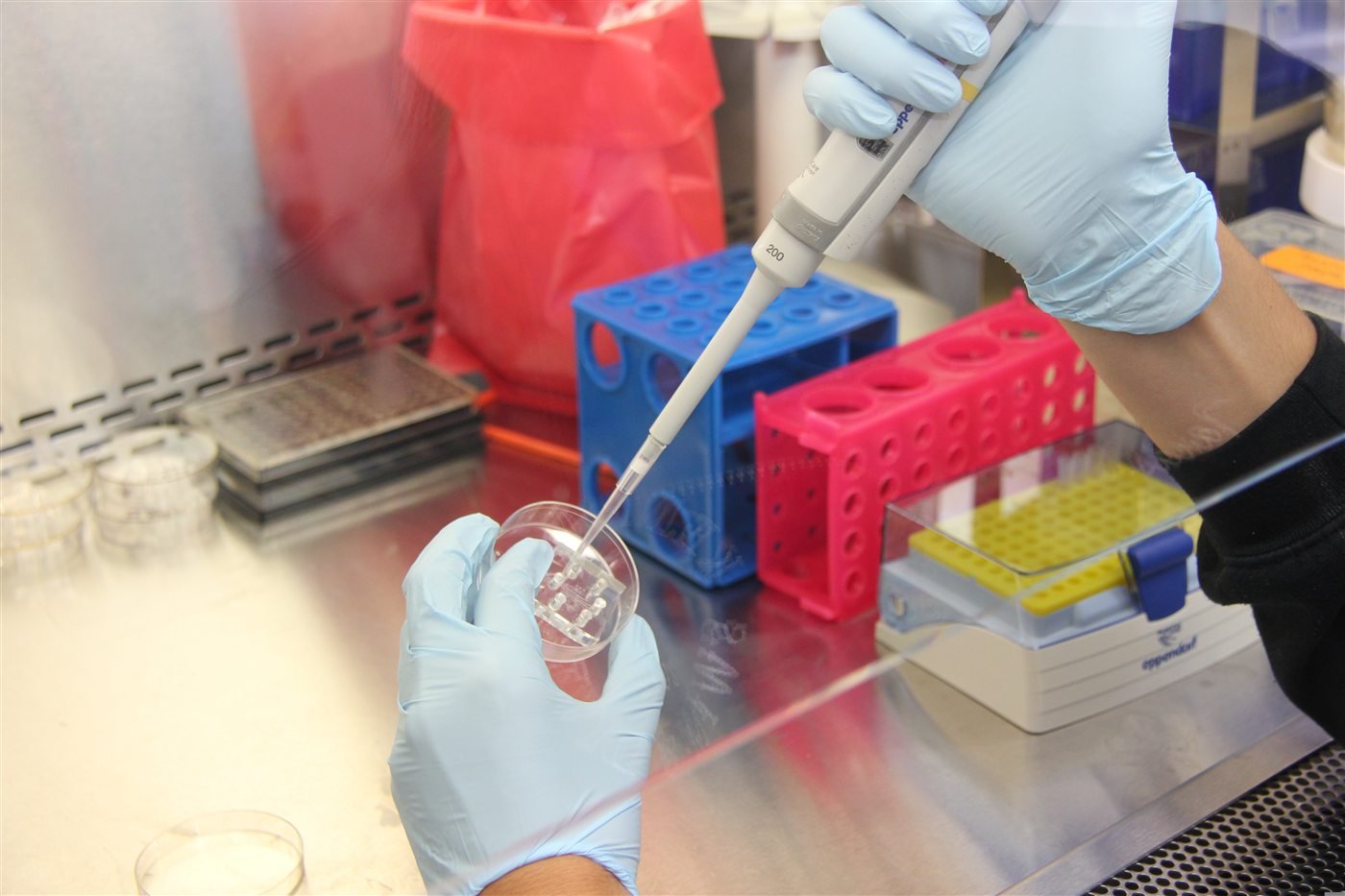 Laboratorio y Análisis